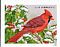 Northern Cardinal Cardinalis cardinalis  2016 Songbirds in snow 5x4v booklet, sa