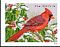 Northern Cardinal Cardinalis cardinalis  2016 Songbirds in snow 5x4v booklet, sa