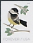 Black-capped Chickadee Poecile atricapillus  2018 Winter birds 5x4v booklet, sa