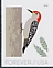 Red-bellied Woodpecker Melanerpes carolinus  2018 Winter birds 5x4v booklet, sa