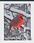 Northern Cardinal Cardinalis cardinalis  2020 Winter scenes 2x10v booklet, sa