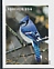 Blue Jay Cyanocitta cristata