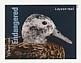 Laysan Duck Anas laysanensis  2023 Endangered species 20v sheet, sa