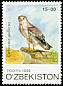 Short-toed Snake Eagle Circaetus gallicus  1999 Birds of prey 