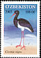 Black Stork Ciconia nigra