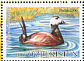 White-headed Duck Oxyura leucocephala  2006 Birds Sheet