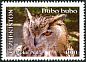 Eurasian Eagle-Owl Bubo bubo