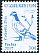 Rock Dove Columba livia  2017 Birds definitives 