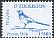 Eurasian Magpie Pica pica  2018 Birds definitives 