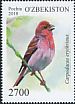 Common Rosefinch Carpodacus erythrinus