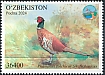 Common Pheasant Phasianus colchicus