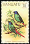 Blue-faced Parrotfinch Erythrura trichroa  1981 Birds 