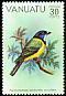 Melanesian Whistler Pachycephala chlorura  1981 Birds 