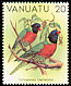 Coconut Lorikeet Trichoglossus haematodus  1982 Birds 