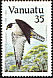 Peregrine Falcon Falco peregrinus  1985 Audubon 