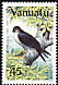 Peregrine Falcon Falco peregrinus  1985 Audubon 