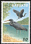Pacific Reef Heron Egretta sacra  1997 Coastal birds 