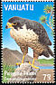 Peregrine Falcon Falco peregrinus