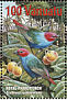 Royal Parrotfinch Erythrura regia  2001 Birds 