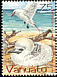 Red-tailed Tropicbird Phaethon rubricauda