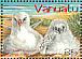 Red-tailed Tropicbird Phaethon rubricauda  2004 Tropicbirds of Vanuatu Sheet