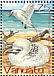 Red-tailed Tropicbird Phaethon rubricauda  2004 Tropicbirds of Vanuatu Sheet