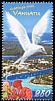 White Tern Gygis alba  2008 Greetings 
