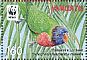 Coconut Lorikeet Trichoglossus haematodus  2011 WWF Sheet with 4 sets