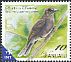 Southern Shrikebill Clytorhynchus pachycephaloides  2012 Birds definitives 