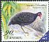 Vanuatu Megapode Megapodius layardi