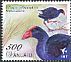 Australasian Swamphen Porphyrio melanotus