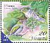 Silvereye Zosterops lateralis  2012 Birds definitives Sheet