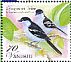 Long-tailed Triller Lalage leucopyga  2012 Birds definitives Sheet