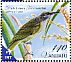 Grey-eared Honeyeater Lichmera incana  2012 Birds definitives Sheet