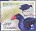 Australasian Swamphen  Porphyrio melanotus