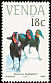 Southern Ground Hornbill Bucorvus leadbeateri