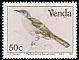 Yellow-streaked Greenbul Phyllastrephus flavostriatus  1991 Birds 