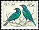 Cape Starling Lamprotornis nitens