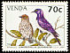 Violet-backed Starling Cinnyricinclus leucogaster