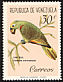 Yellow-crowned Amazon Amazona ochrocephala  1961 Birds 