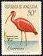 Scarlet Ibis Eudocimus ruber  1961 Birds 