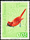 Northern Cardinal Cardinalis cardinalis  1962 Birds 