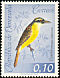 Great Kiskadee Pitangus sulphuratus  1962 Birds 