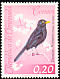 Glossy-black Thrush Turdus serranus