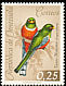Collared Trogon Trogon collaris  1962 Birds 