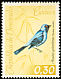 Swallow Tanager Tersina viridis  1962 Birds 