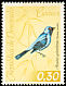 Swallow Tanager Tersina viridis