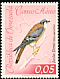 American Kestrel Falco sparverius  1962 Birds 
