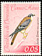 American Kestrel Falco sparverius