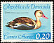 Black-bellied Whistling Duck Dendrocygna autumnalis  1962 Birds 